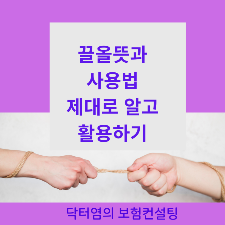  끌올뜻과 사용법 알고 제대로 활용하기