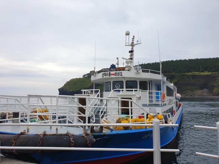 제주 자유여행 마라도 가는 법 #마라도가는여객선
