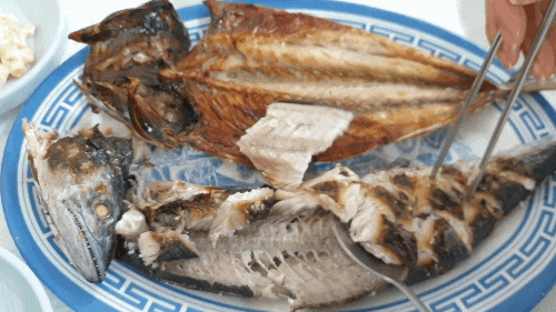 [청양] 생선구이 순두부찌개 맛집, 오미식당