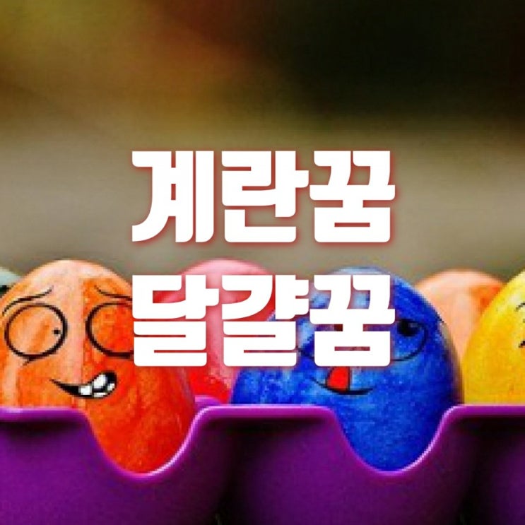  계란꿈 달걀꿈 계란 깨는 꿈 자세한 풀이해드려요
