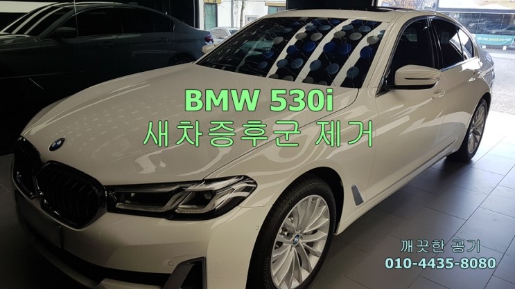 대전 유성구 BMW 530i 신차냄새, 새차증후군 제거 예방 아이들 위해 아토피 예방, 깨끗한 공기 만들기