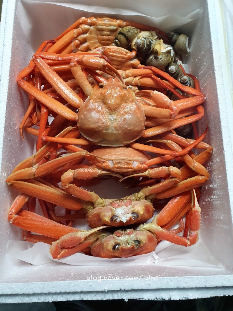  대전 태평동 맛집 홍게양대게군 대전 전지역 홍게 배달 포장