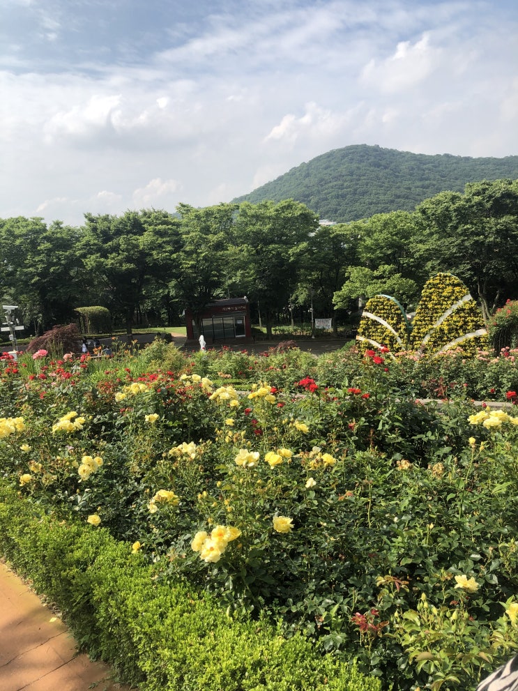  우리 동네 자랑