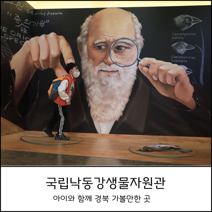  경북 가볼만한곳 아이와 함께 체험하기 좋은 국립낙동강생물자원관