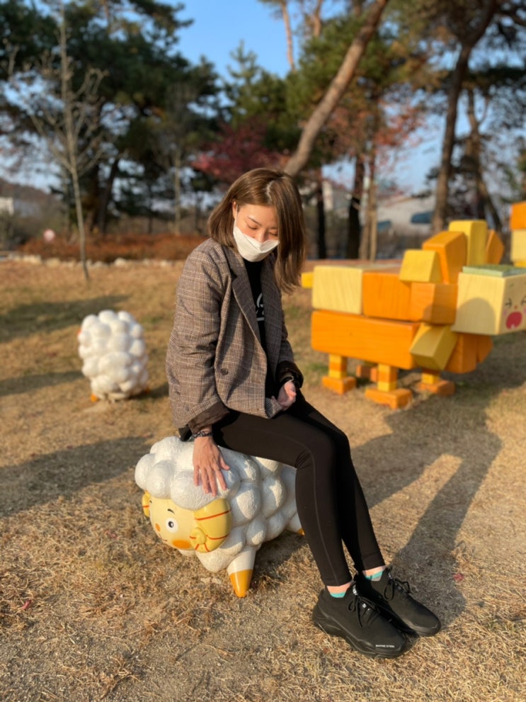 춘천 단풍 : 신숭겸장군묘, 애니메이션박물관, 춘천 가보자순대국 현지인맛집 탐방기