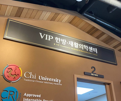 VIP한방재활센터- 웰시코기 똘이 후지마비 재활