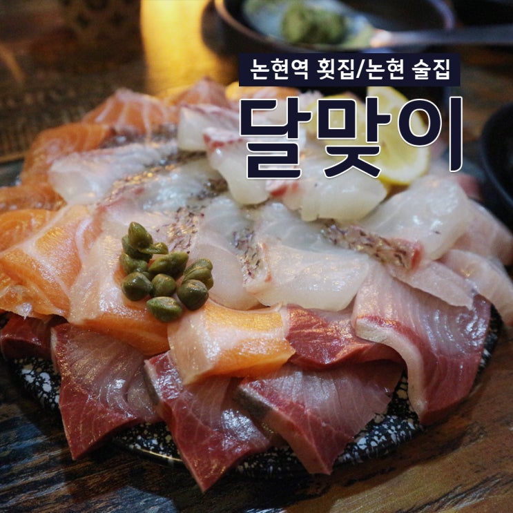 [논현동 맛집] 두툼한 숙성회가 예술인 논현 술집 '달맞이'