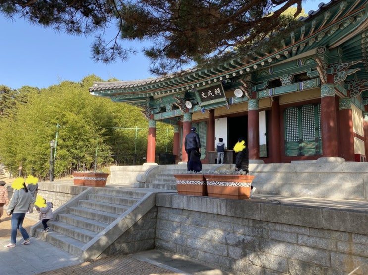  단풍과 오죽헌 후기(강릉 여행)
