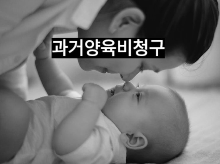 싱글맘미혼모 양육비청구를 친자확인소송으로 과거양육비까지