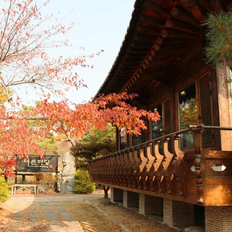  서오릉 서삼릉 점심식사와 커피는너른마당 + 서삼릉커피아저씨