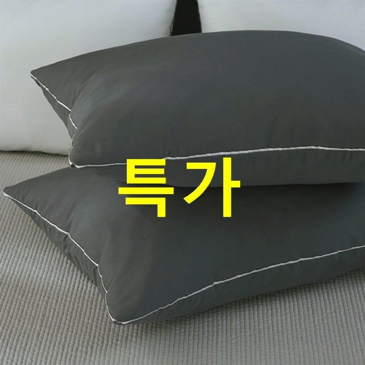  베스트아이템 지베딩 나노 마이크로 에어워싱 호텔식 솜포함 베개커버 2p~ 후기 확인
