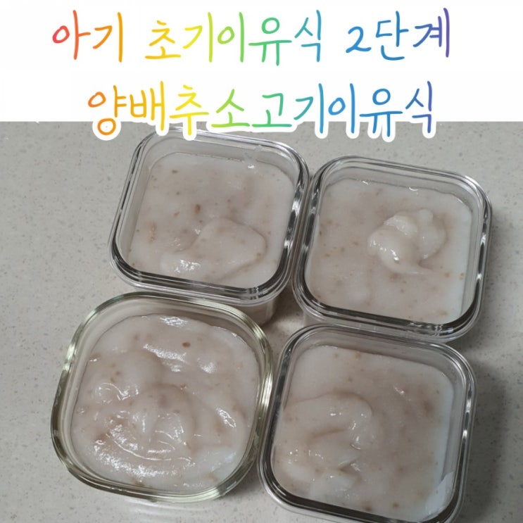  아기 초기2단계이유식/ 양배추소고기이유식 냠냠 맛있어요/ 아기하루소고기섭취량