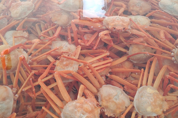  부산 광안리 홍게 무한리필 수산명가 광안점