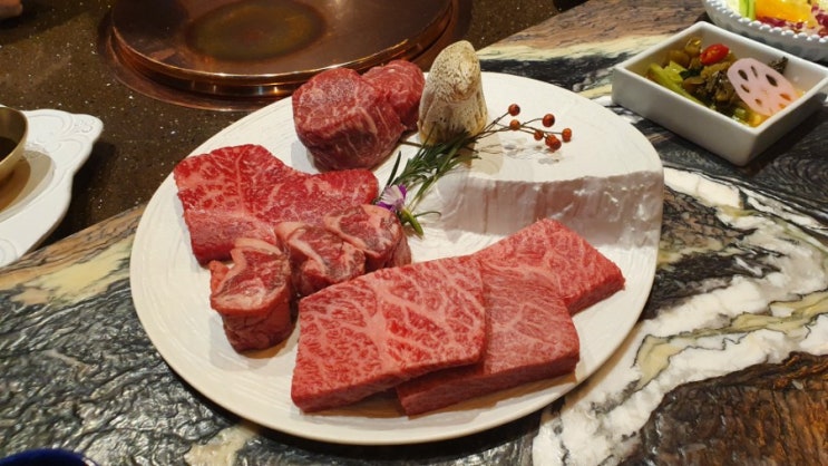 [한우다이닝 울릉] 강남역 맛집 강남 소고기