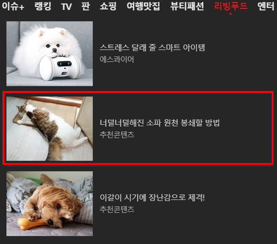 네이트 메인 2번째 주인공은 놀놀군 네이트 메인 2번째 주인공은 놀놀군