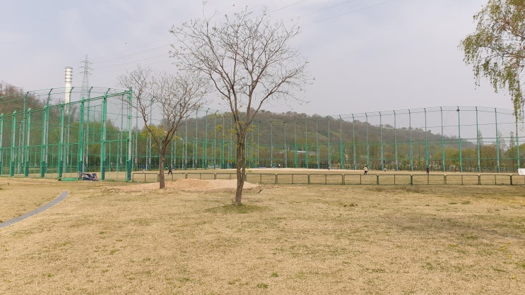  명치 위 아래 통증 차이와 치료
