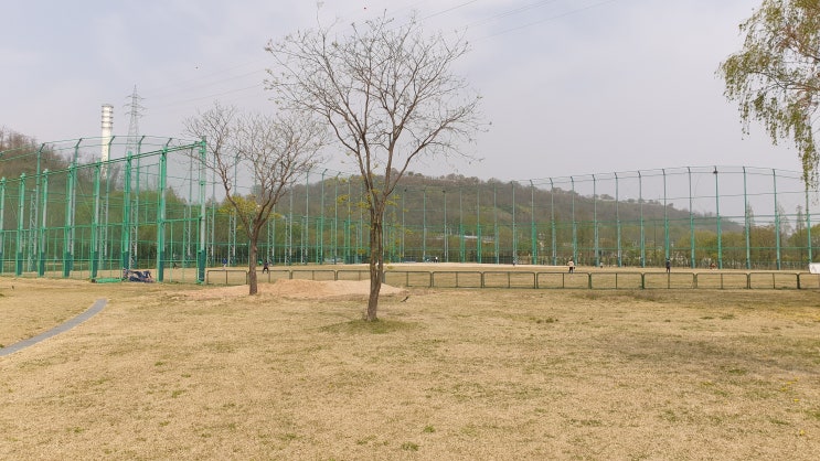 명치 위 아래 통증 차이와 치료