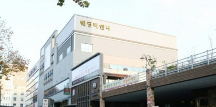  웨딩비엔나