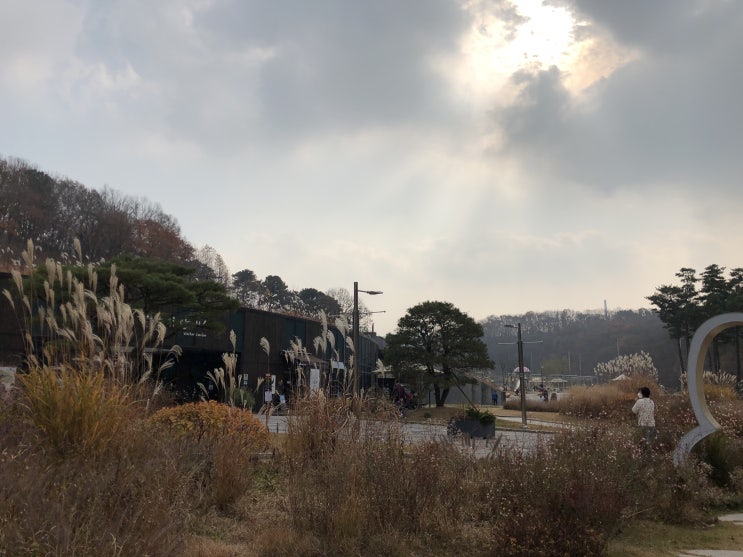  [군포 공원] 커피들고 피크닉하기 좋은 군포 초막골 생태공원