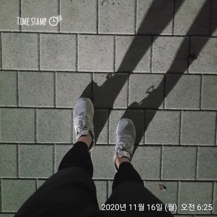  [송도 부자아빠 미친 100일 - 80일차] 도전과 루틴유지