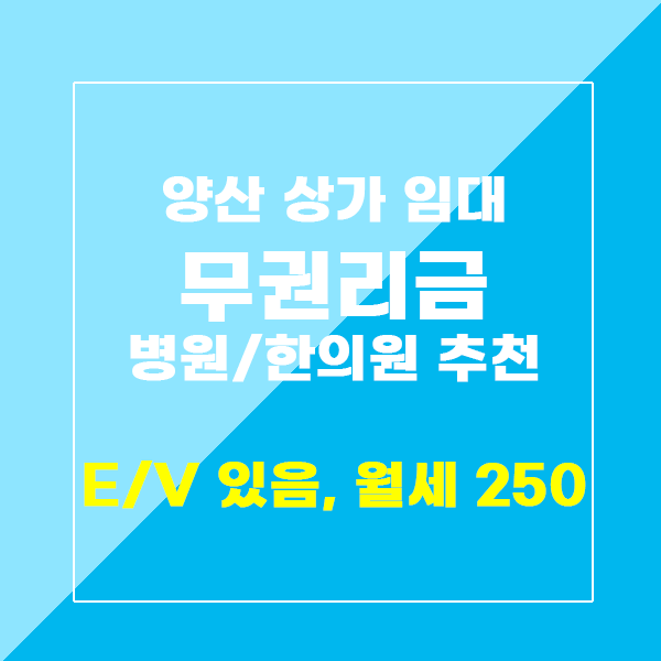  양산 상가임대 서창 최요지 병원자리 인테리어 지원 착한 월세 250