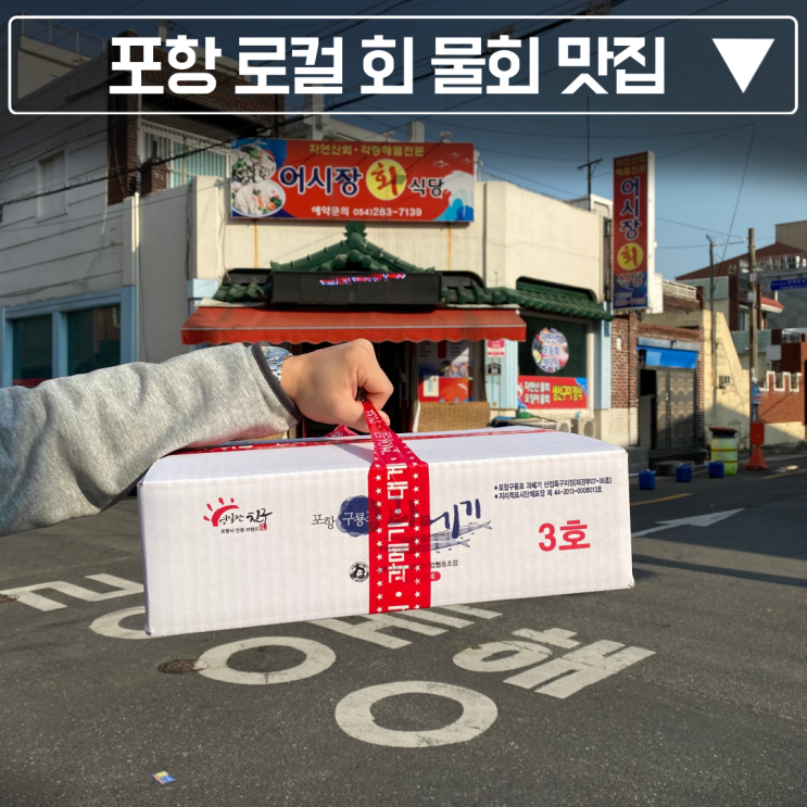  포항 북구 죽도동 오광장의 로컬 해산물 맛집, 어시장 회 식당