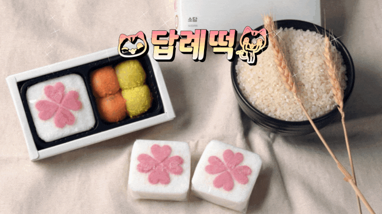  [떡보의 하루] 감사인사를 답례떡으로 전해봐요