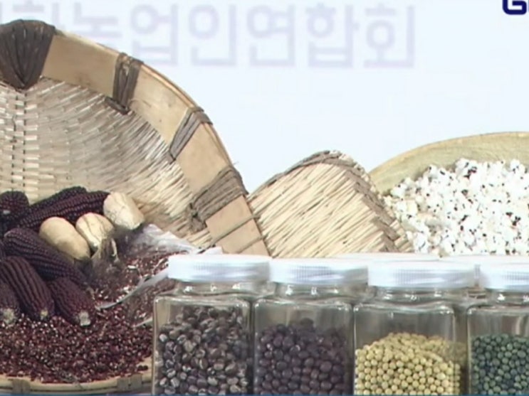  연두네텃밭 라이브커머스 첫 방송 2020 경북정보화농업인 온라인전진대회에서 우리씨앗이야기 전했습니다