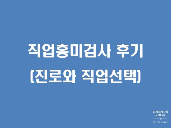 어세스타 직업흥미검사 후기(N잡시대, 진로와 직업선택의 발견)
