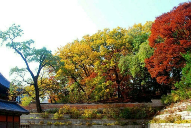 삶과 낙엽 삶과 낙엽