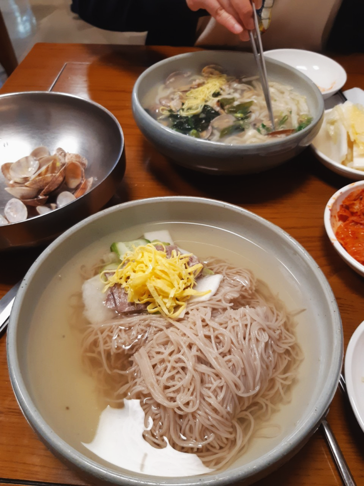  [경기 수원] 평양냉면과 손만두는 언제나 옳다. 맛집 "평장원"(위치/메뉴/가격/영업시간)