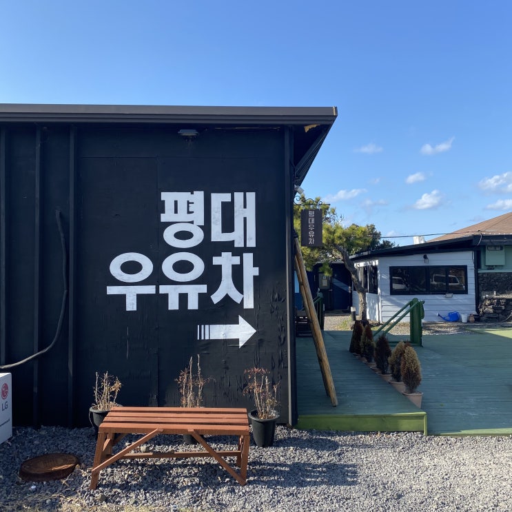  천연재료로 만든 파스텔 빛 수제 우유차 평대 우유차