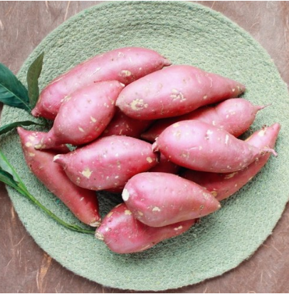  겨울간식은 꿀맛 보장하는 해남 고구마로 정했어요