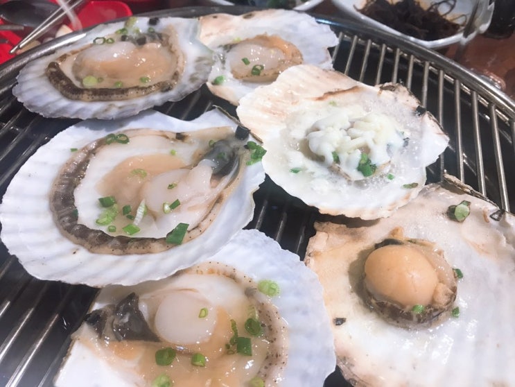 경성수산센타 경성대 조개구이 경성대 맛집 가성비 굿