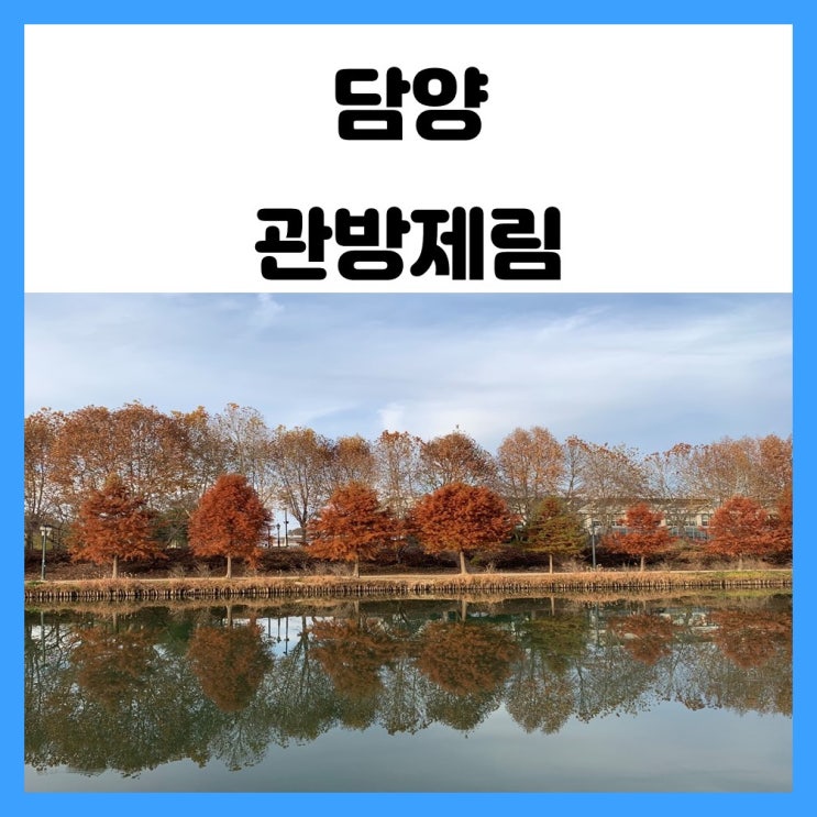 담양 여행지 관방제림 알록달록 붉은빛 가을 단풍 구경 오세요 담양 여행지 관방제림 알록달록 붉은빛 가을 단풍 구경 오세요