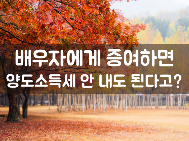  배우자에게 증여하면 양도소득세 안 내도 된다고?