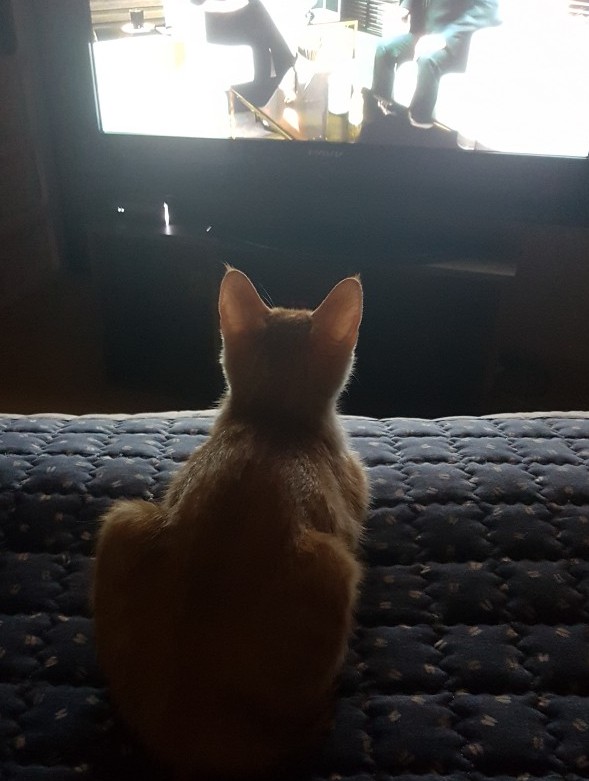  고티카 콜드브루 CF를 찍어보자