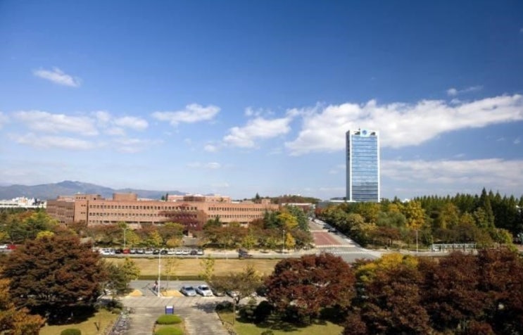  영남대 정시등급 [2020 영남대학교 정시수능등급]