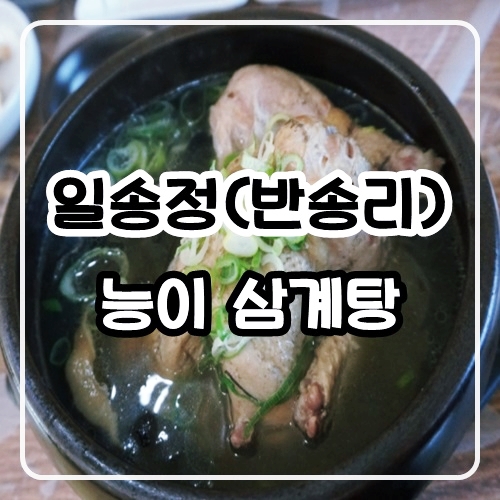 대구 달성군 옥포읍 맛집 :: 일송정 (반송리) 능이 삼계탕