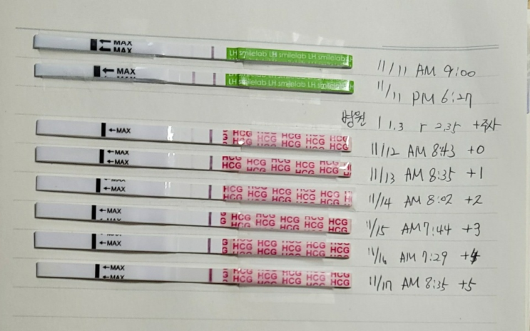  다섯번째 시도! 임신 2주 5일 (배란 5일차), 난포 주사 영향이 다 빠졌다.