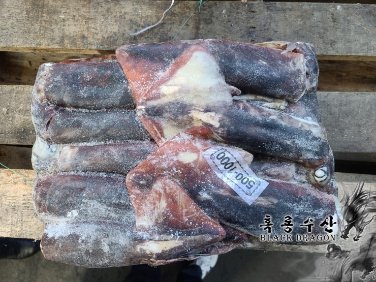  중국산 선동 북양오징어 500g/1000g (페루조업) _ Feat. 흑룡수산