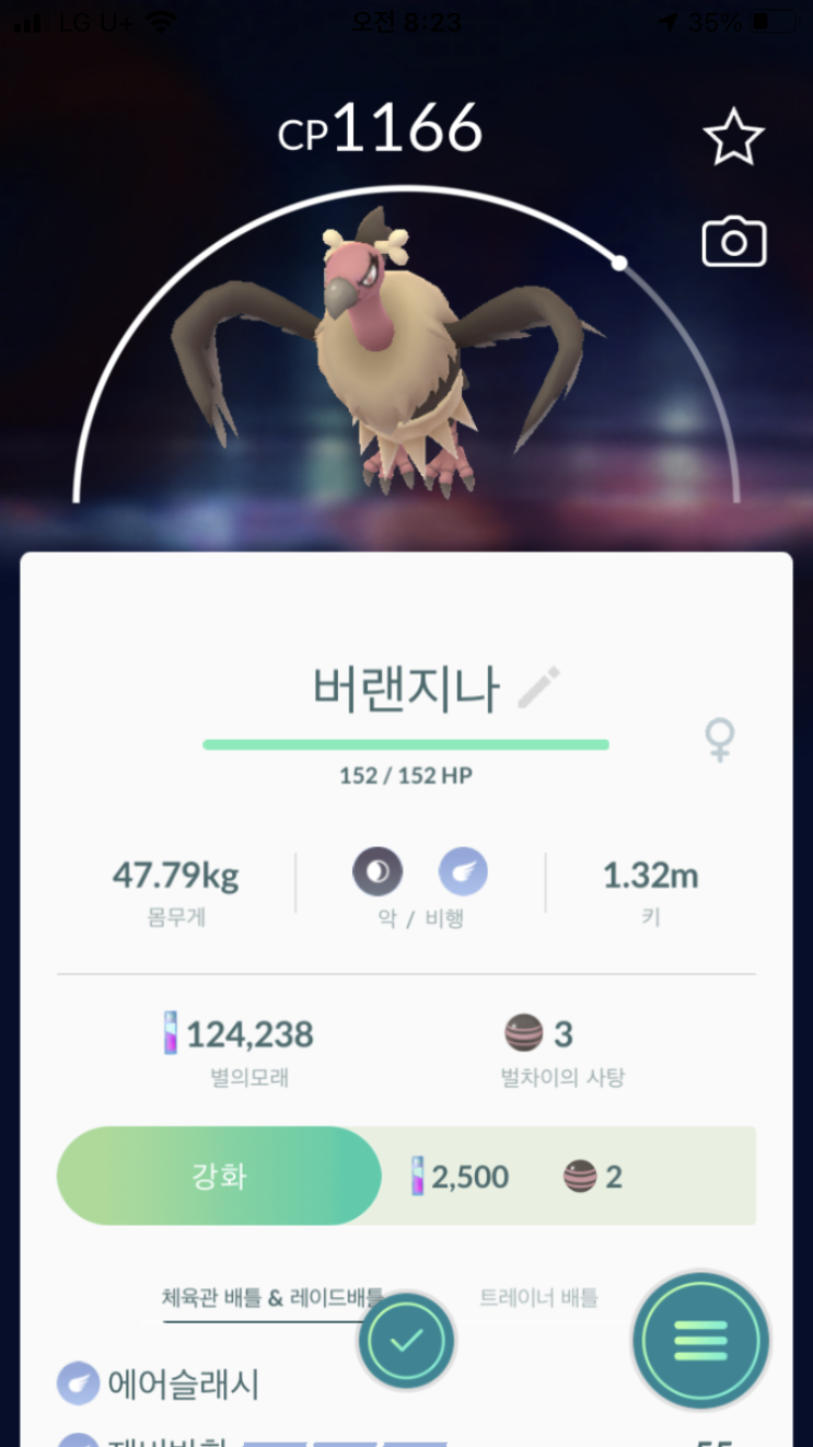  벌차이, 버랜지나