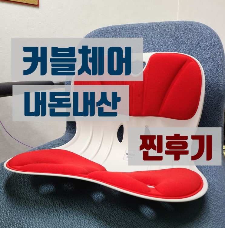  커블체어 와이더, 내돈내산 사무실 사용 찐후기