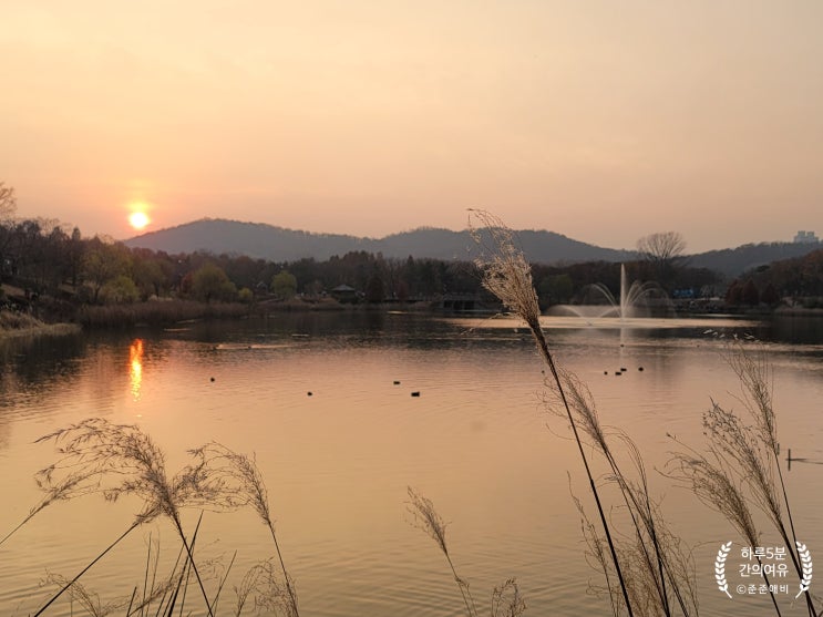  자전거와 함께한 인천대공원 나들이. ( 대여부터 주차비까지 )