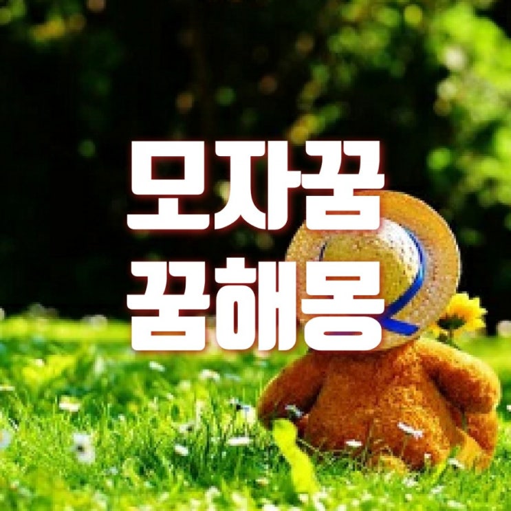  모자꿈 다양한 꿈해몽 해드릴게요