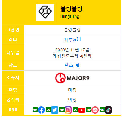  새롭게 데뷔한 블링블링 멤버 정보