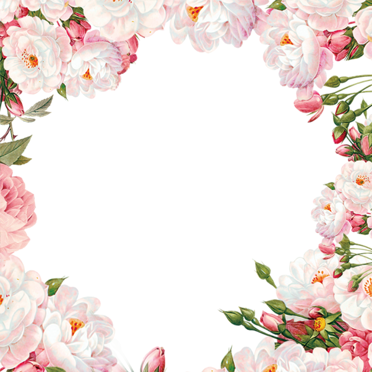  갤럭시탭 다이어리용 꽃 스티커 png 공유 2탄