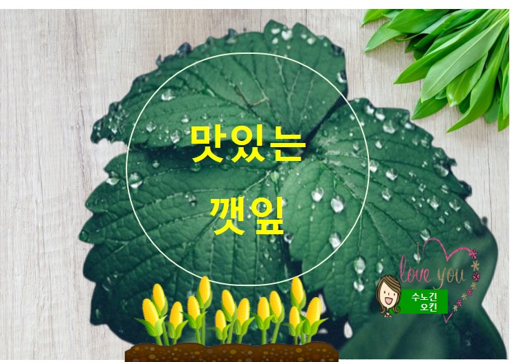  깻잎의 효능과  보관방법 주의사항입니다