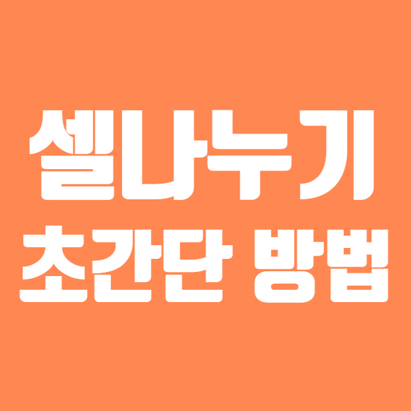  엑셀 셀나누기 방법 간단해요! - 엑셀텍스트 나누기 라고도 하고요