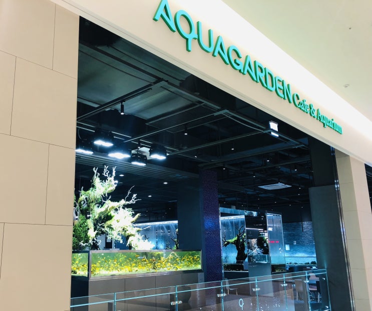  [기흥카페] 아쿠아가든카페 리빙파워센터 기흥점 Cafe & Aquarium